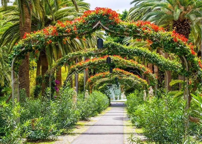 Estudio Cruz דירה סנטה קרוז דה טנריף