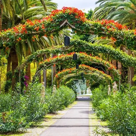 Estudio Cruz Apartment Santa Cruz de Tenerife